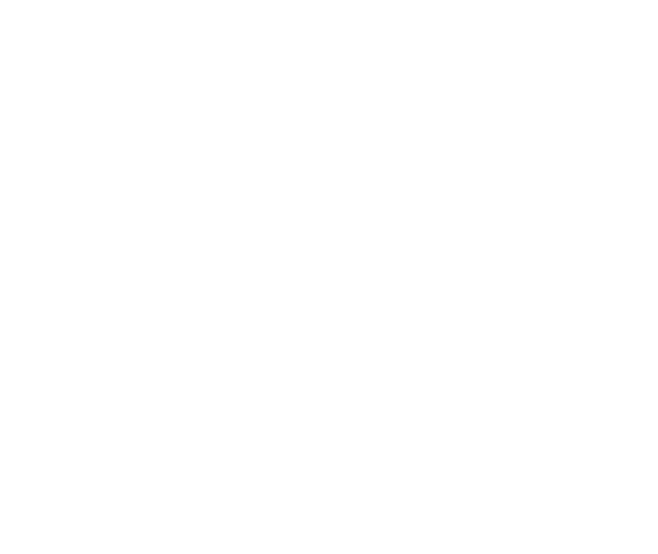 Rush L. Lyons Finance